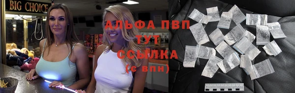 прущие грибы Арсеньев