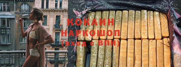прущие грибы Арсеньев