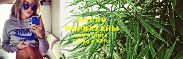 прущие грибы Арсеньев