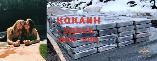 прущие грибы Арсеньев