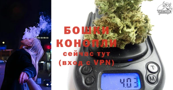 прущие грибы Арсеньев