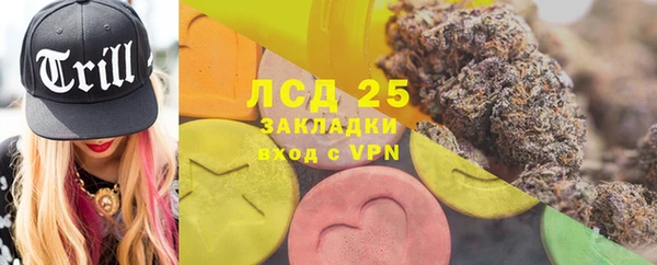 прущие грибы Арсеньев
