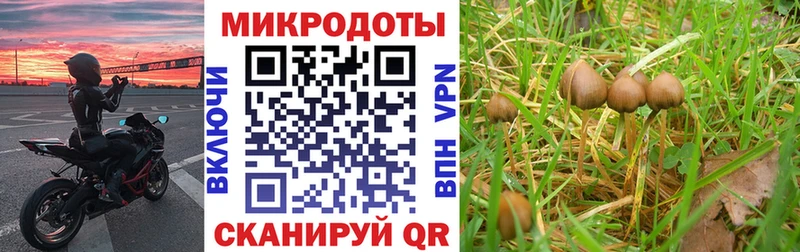 Псилоцибиновые грибы мухоморы Сортавала