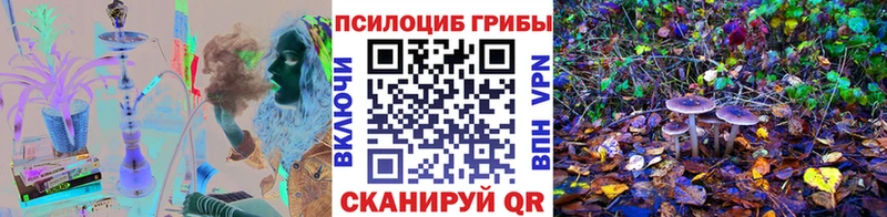 Псилоцибиновые грибы Psilocybine cubensis  Сортавала 